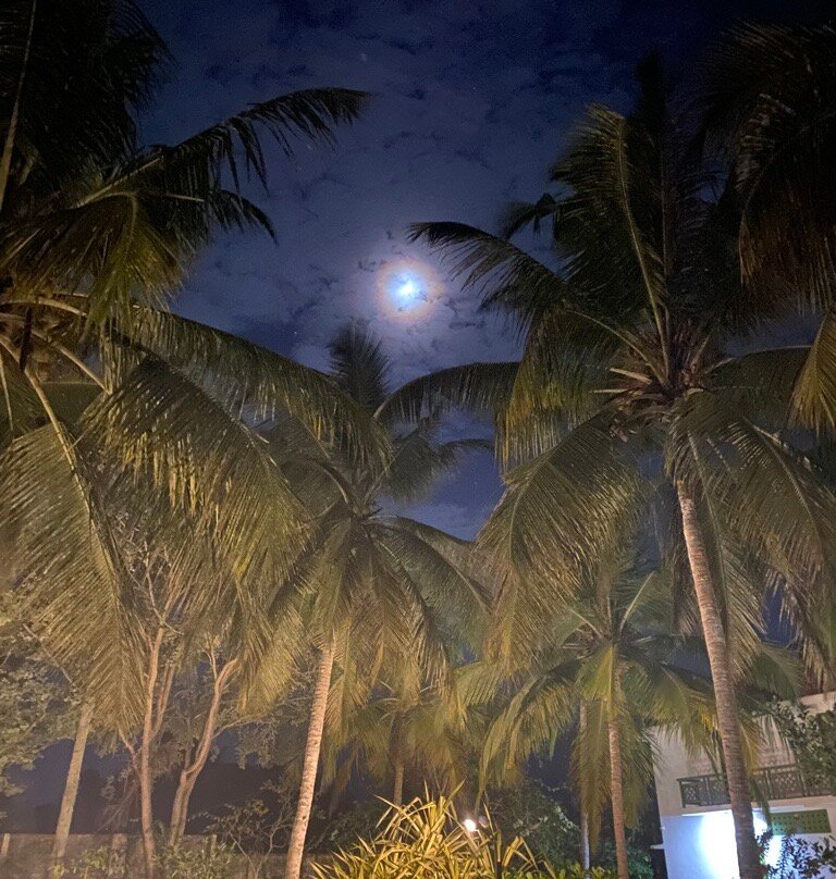 Aanandakosha Ayurveda Retreat主图