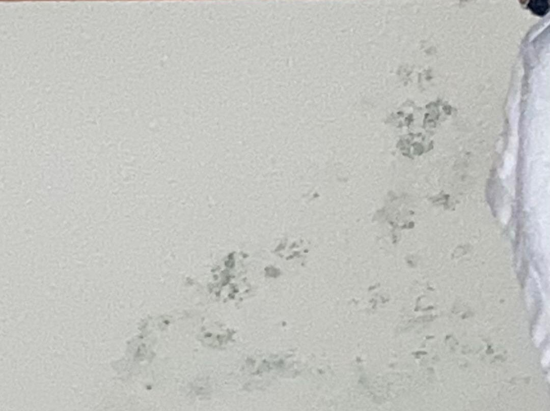 Baymont by Wyndham Cave City主图