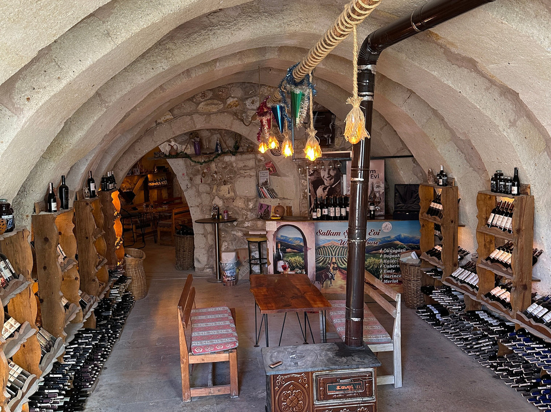 Salkim Sarap Evi (Wine tasting Tour)-阿瓦诺斯必去景点