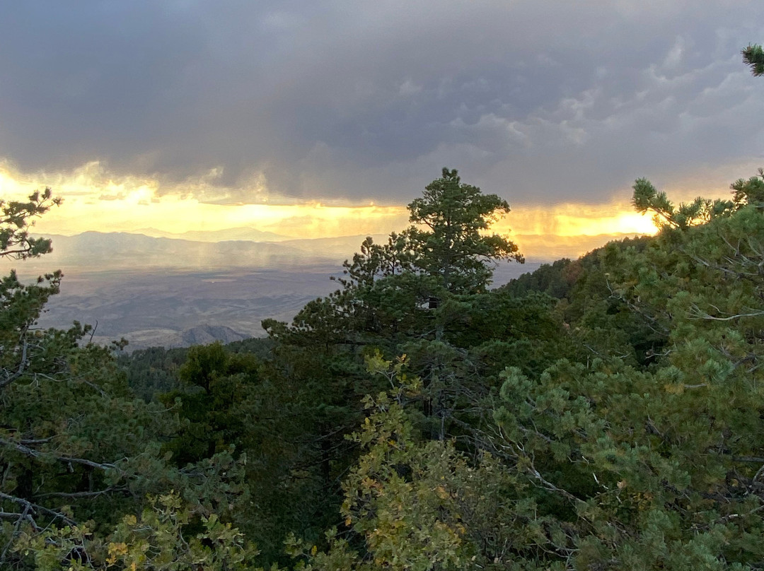Mount Safford Ladybug Peak Trail景点图片