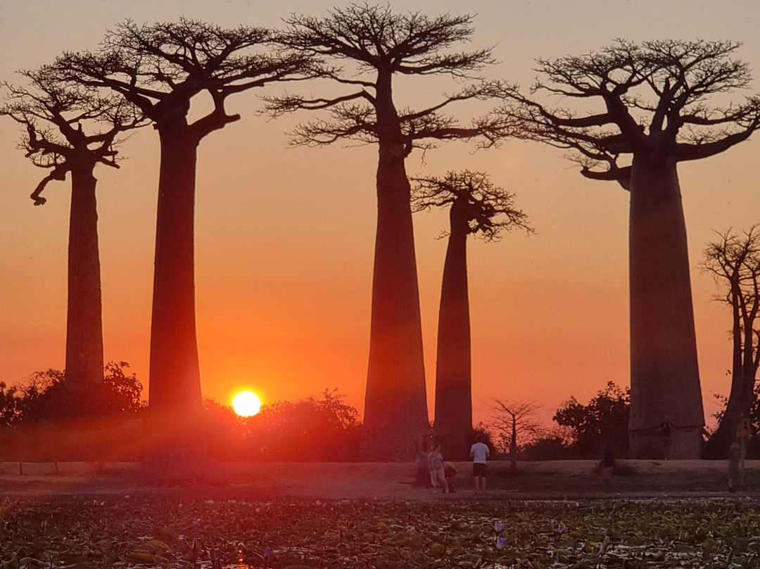 Madagascar Ideal Adventures景点图片