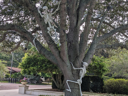 Downtown Winter Garden-Winter Garden必去景点