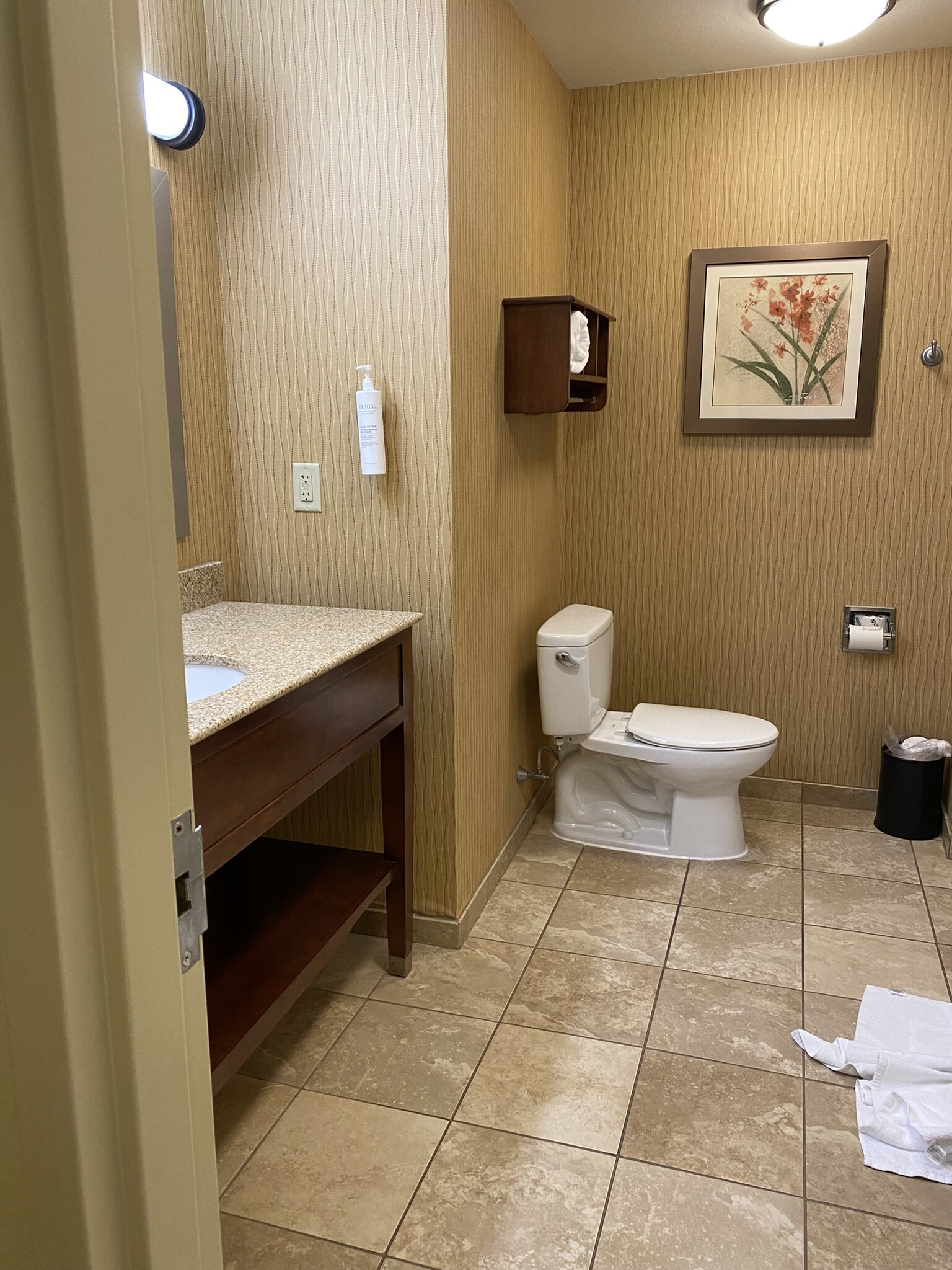 Hampton Inn Matamoras/Milford-浴室