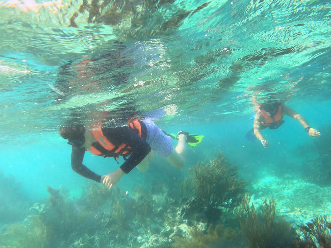 Atma-Ha Tours-从莫雷洛斯港必去景点