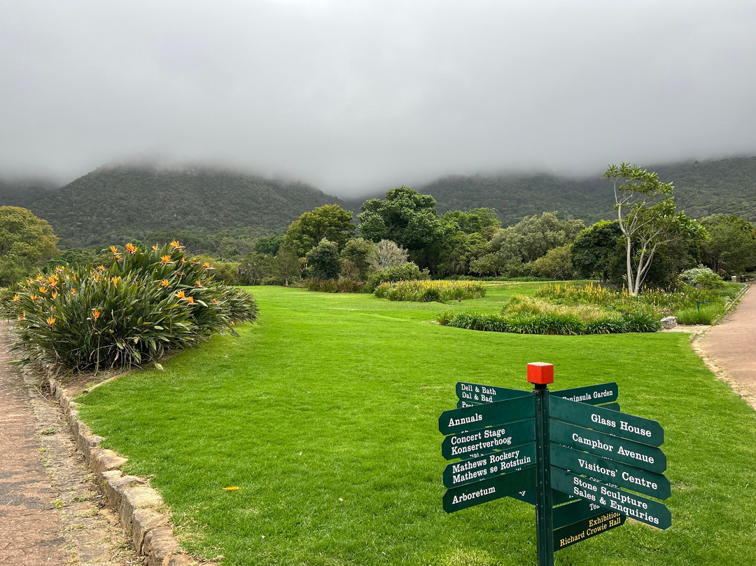 African Blue Tours-开普敦中心区必去景点