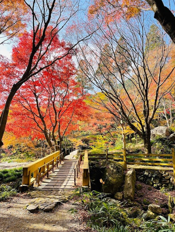 Kankyo Geijutsu no Mori-唐津市必去景点
