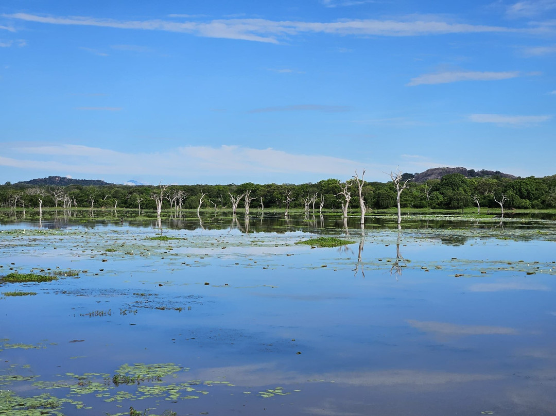 Chintaka Cab Service-瓦勒迦玛必去景点
