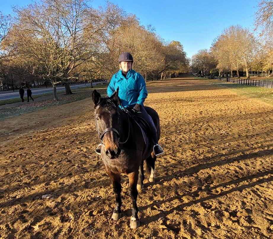 Ross Nye Stables-伦敦必去景点