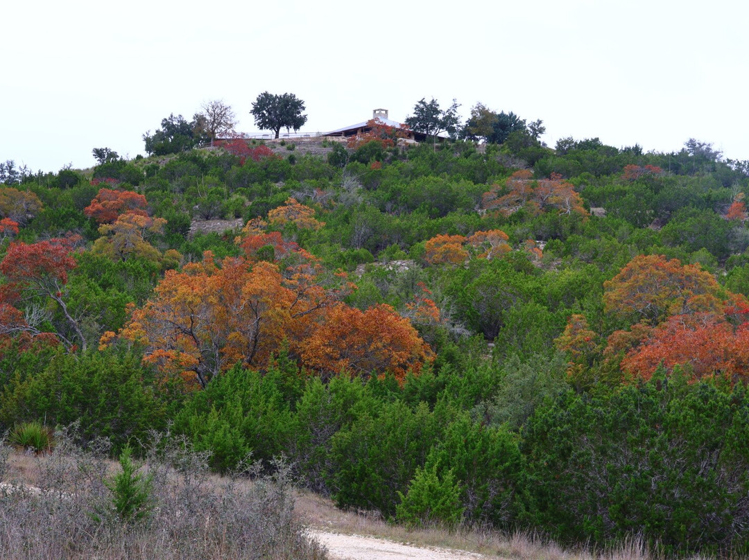 Joshua Springs Park and Preserve-Comfort必去景点