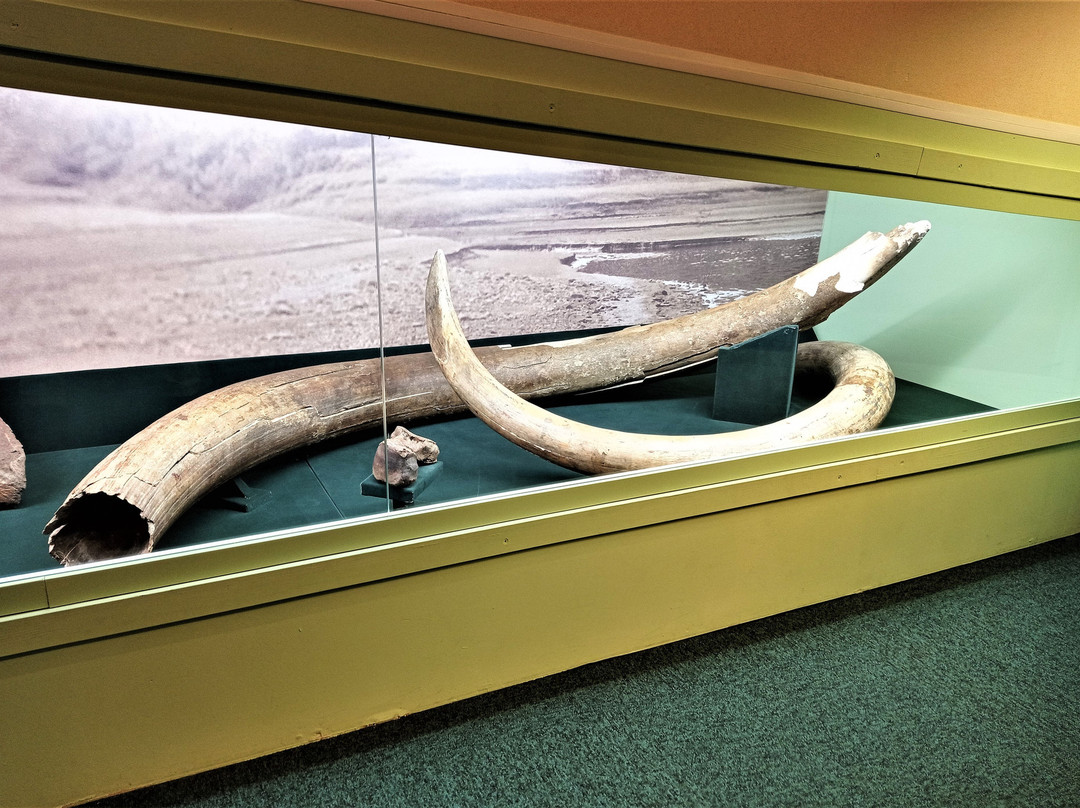 Taimyr Local Lore Museum景点图片