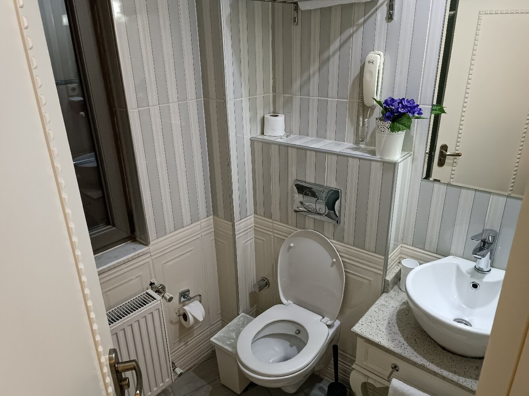 Biga Palas Hotel主图