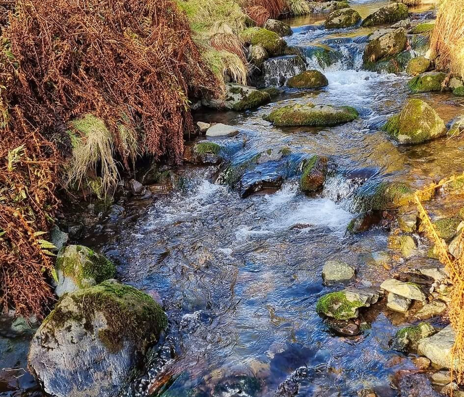 Gartmorn Dam Country Park & Nature Reserve-Alloa必去景点