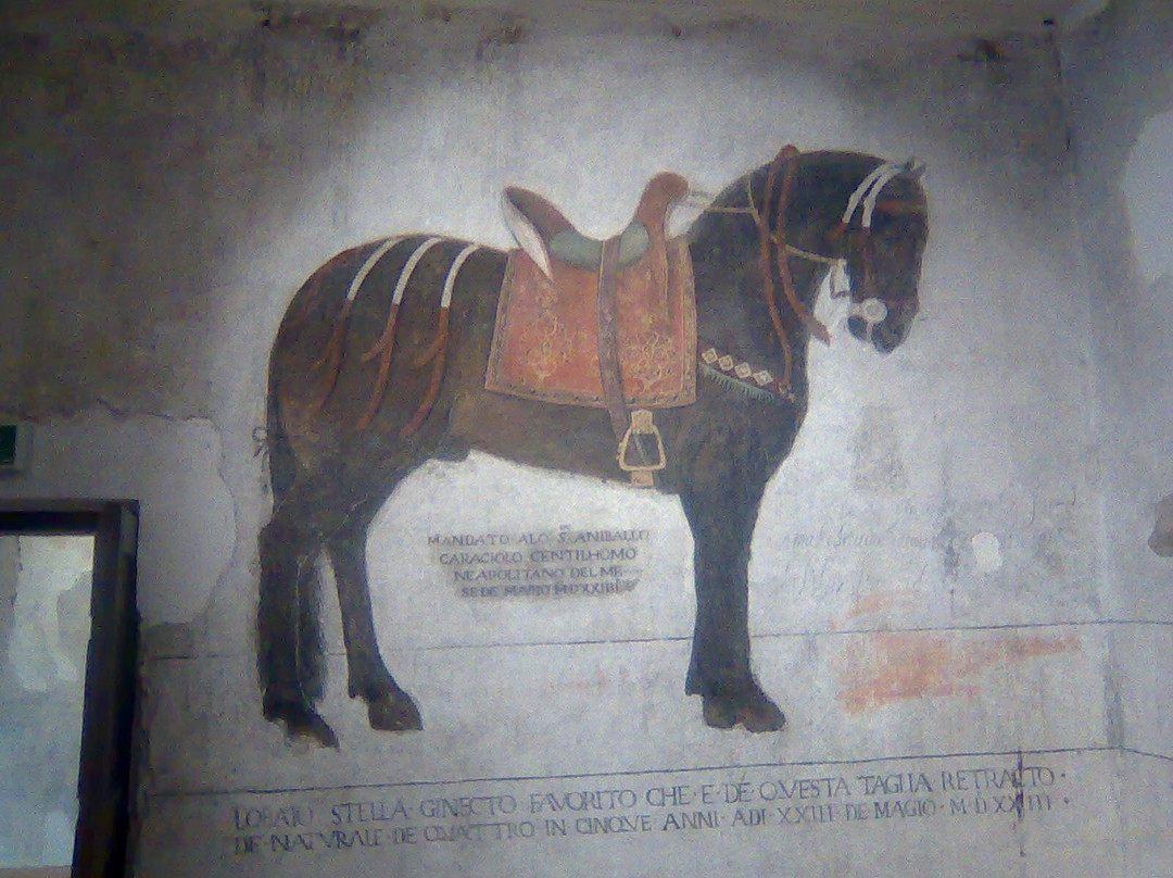 Castello Pandone Venafro-Venafro必去景点
