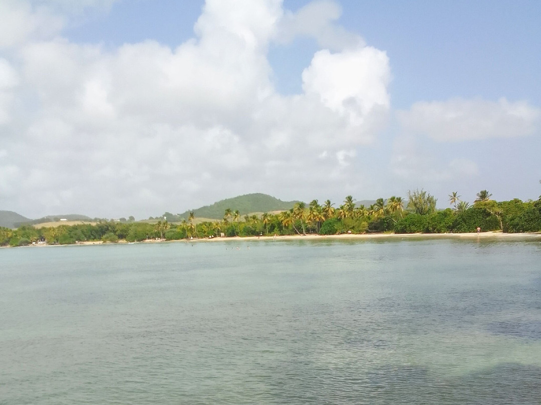 Savane Des Petrifications-Sainte-Anne必去景点