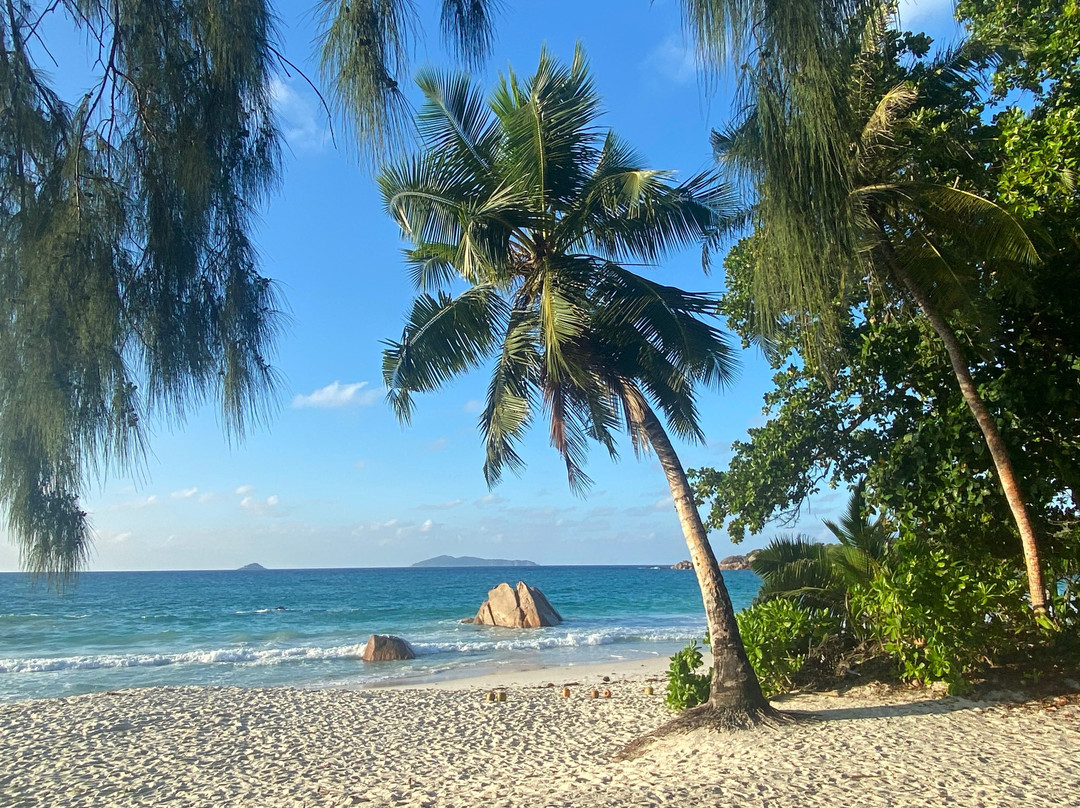 莱富安湾旅馆主图