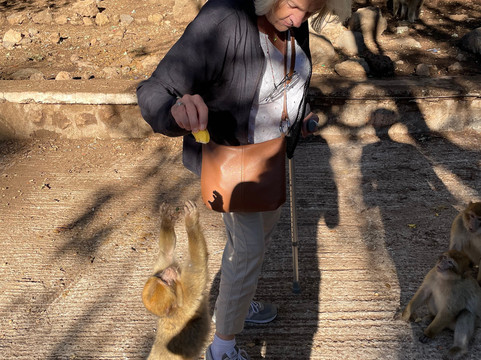 Morocco Accessible Travel Consultants-非斯必去景点