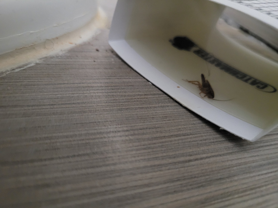 Quality Inn & Suites Athens University Area主图