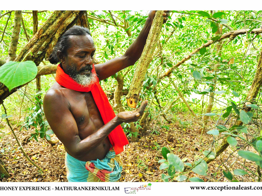 Veddas Culture Center-拜蒂克洛必去景点