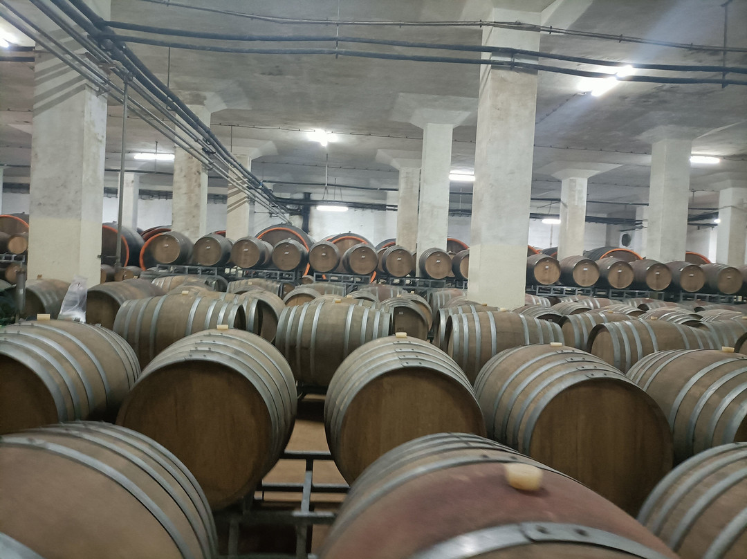 Murfatlar Winery-Murfatlar必去景点