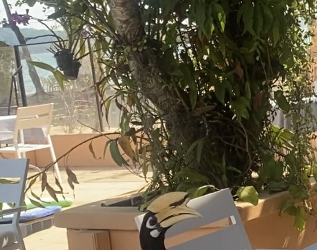 Cruiser Island Resort主图