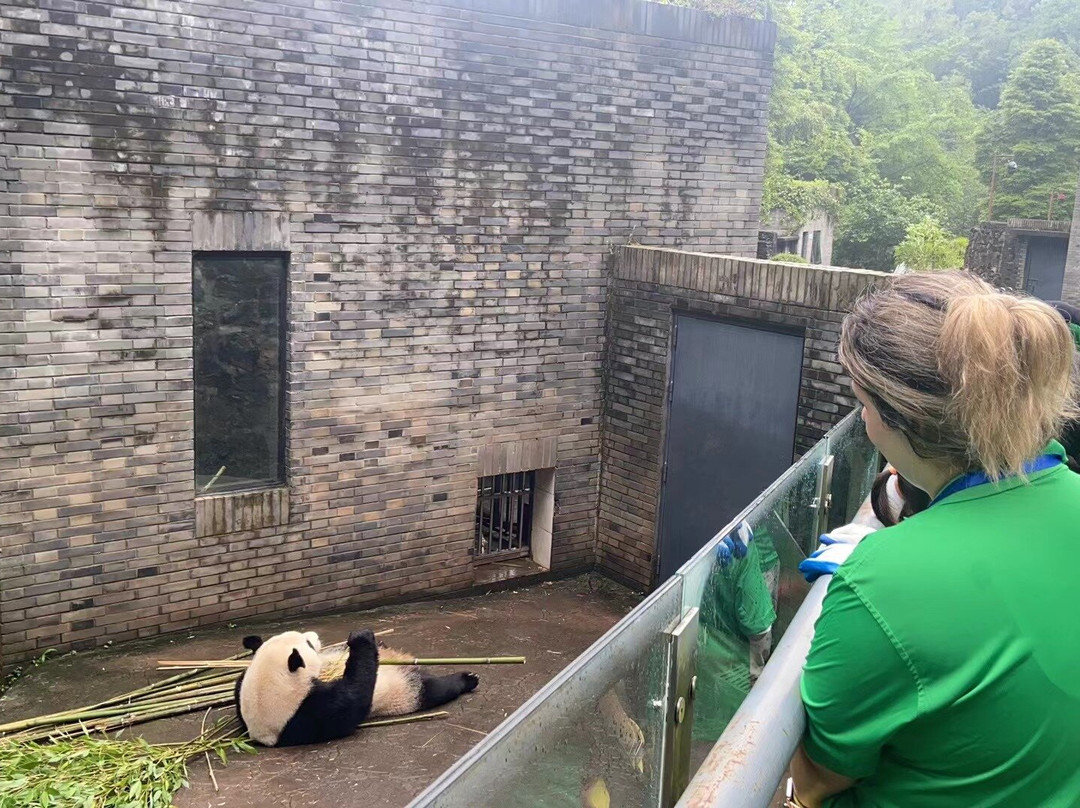 Jeff Ning China Tours-西安市必去景点