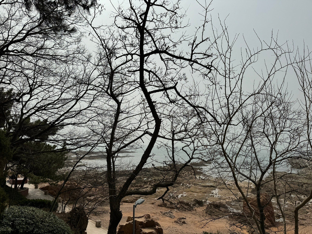 青岛第二海水浴场-青岛市必去景点