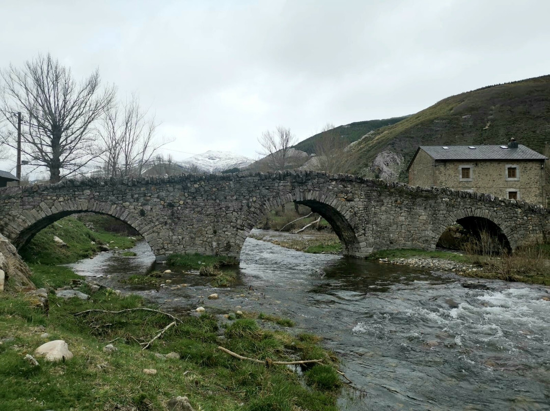 公鸡啼鸣酒店主图