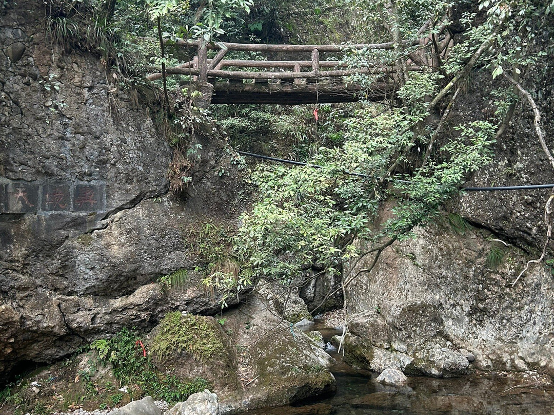 青城山后山 景点图片