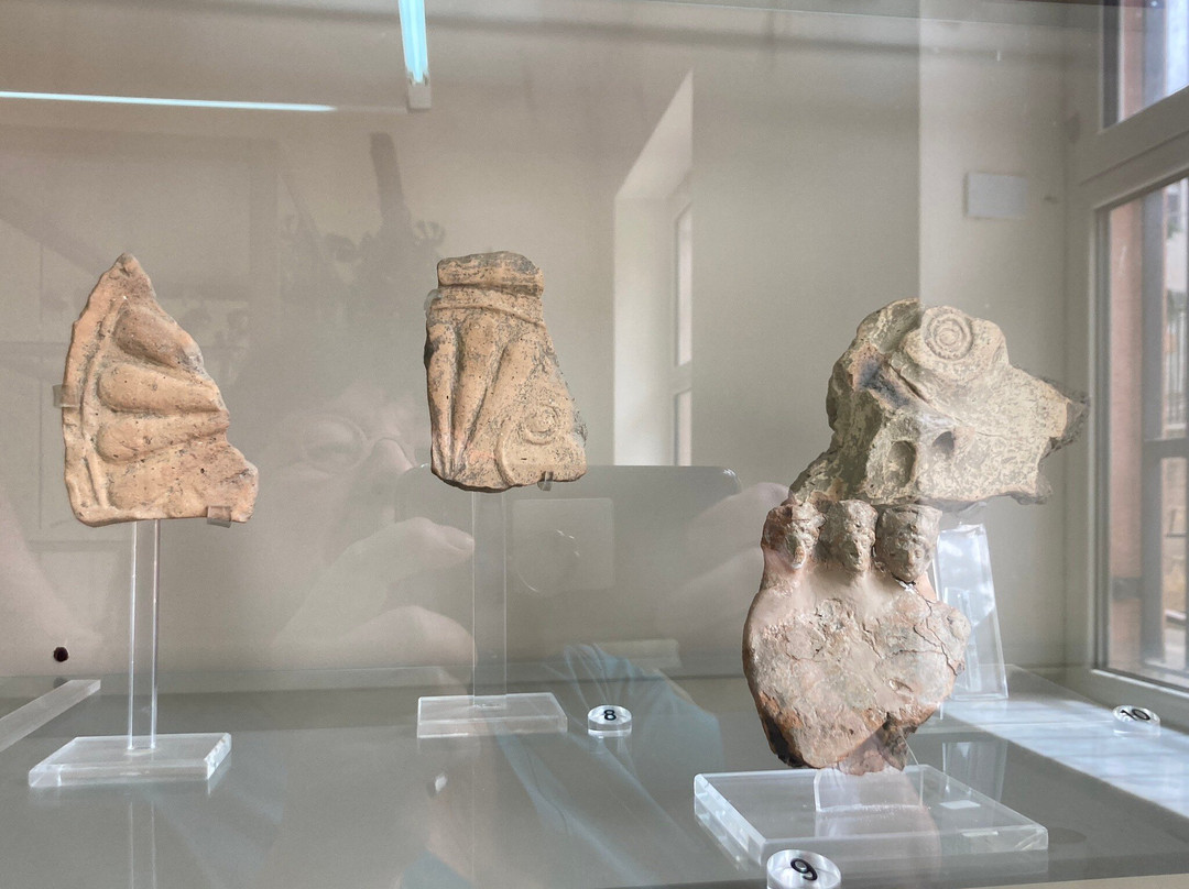 Museo Archeologico景点图片