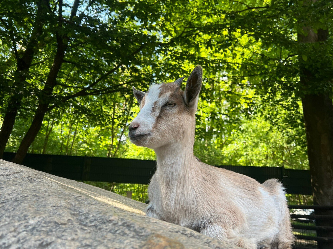 Zoo Eberswalde景点图片
