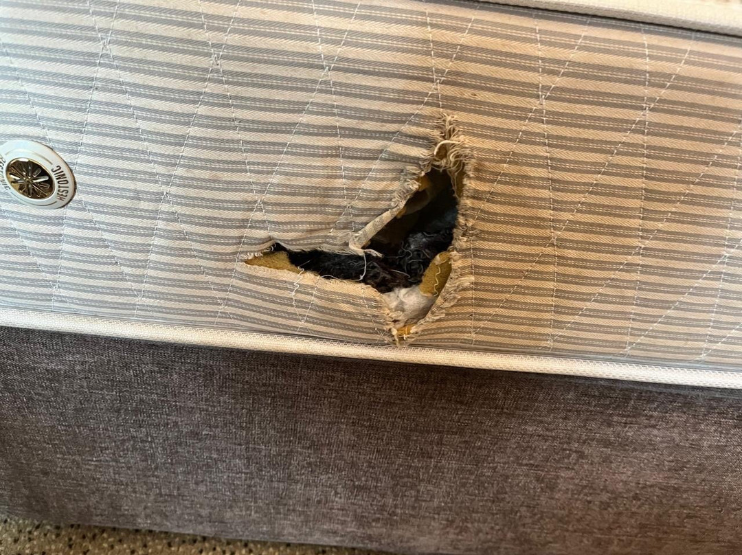 Ramada by Wyndham Abu Dhabi Downtown主图