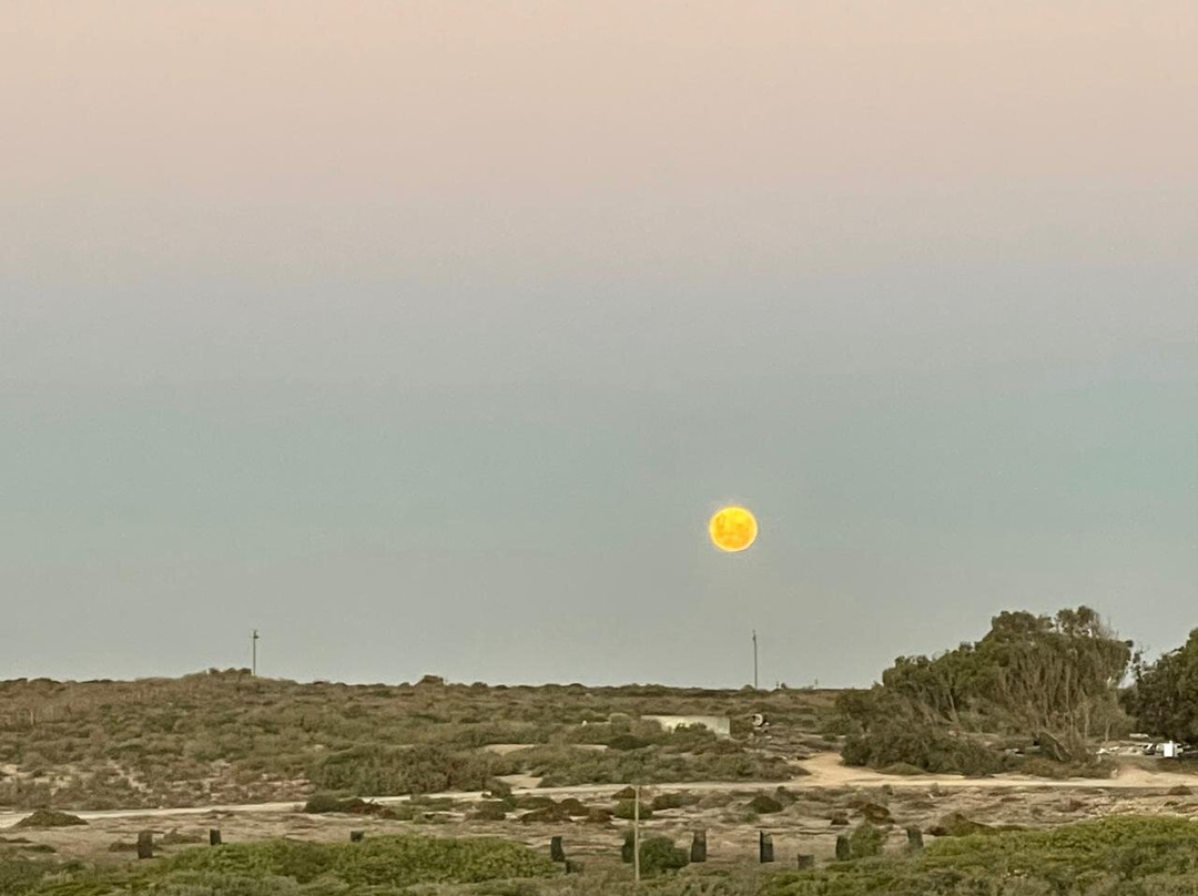 Grootvlei Guest Farm主图