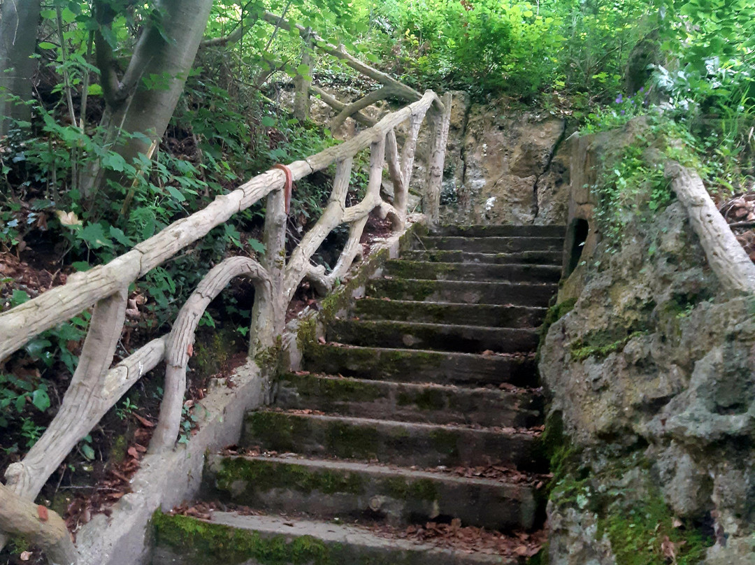 Le Moulin d'Ande主图