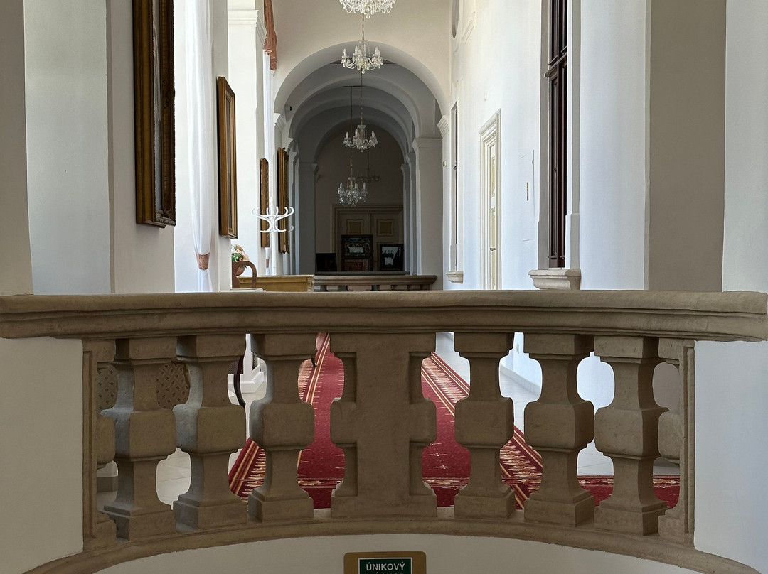 Hotel Gino Park Palace主图