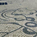 Daphnenero