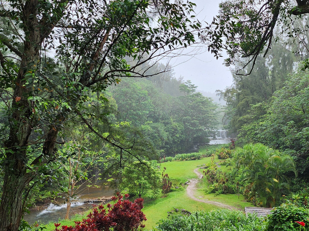 Wai Koa Loop-基拉韦厄必去景点