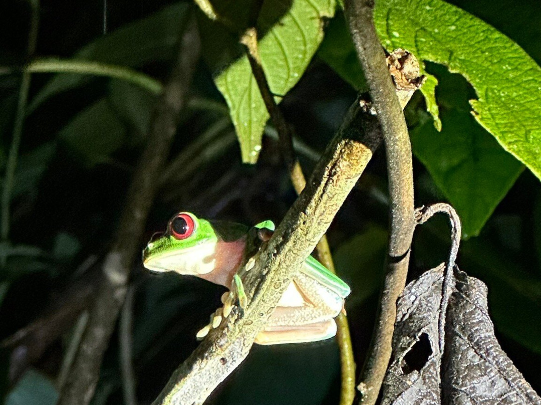 GreenPoint Drake Bay主图