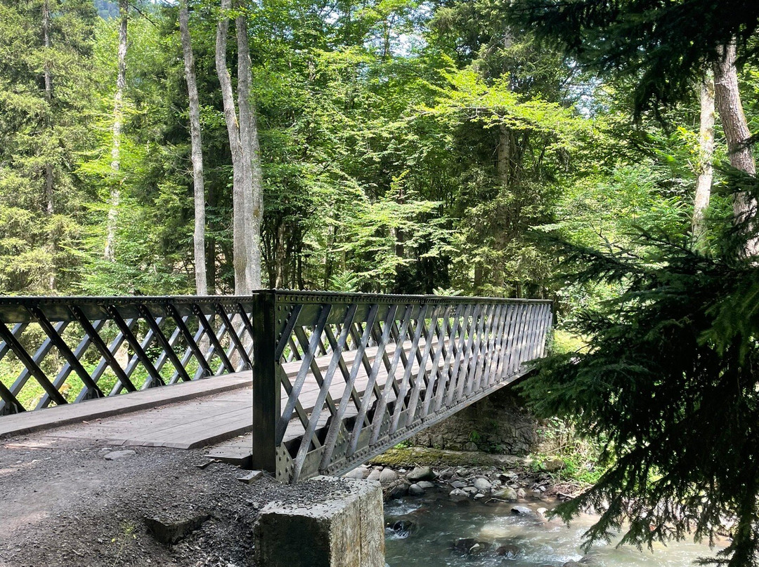 Traffic Travel-第比利斯必去景点