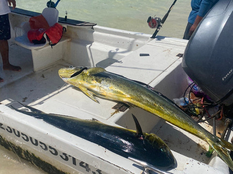 Honey Tours-艾库玛尔必去景点