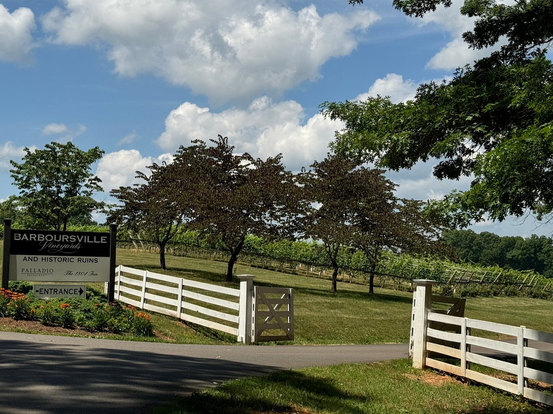 Barboursville Vineyards and Historic Ruins景点图片