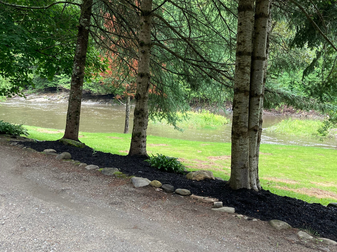 Pine Crest Motel and Cabins主图