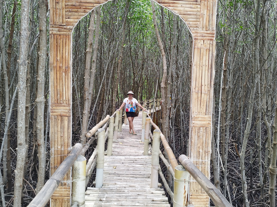 Omagieca Mangrove Garden-班塔延岛必去景点