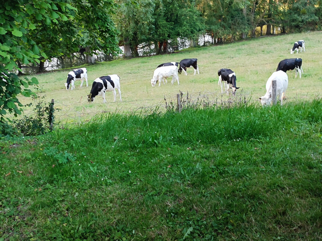Camping Municipal du Parc du Chateau