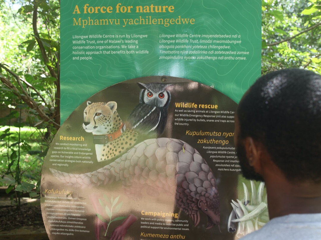 Lilongwe Wildlife Centre-里朗威必去景点