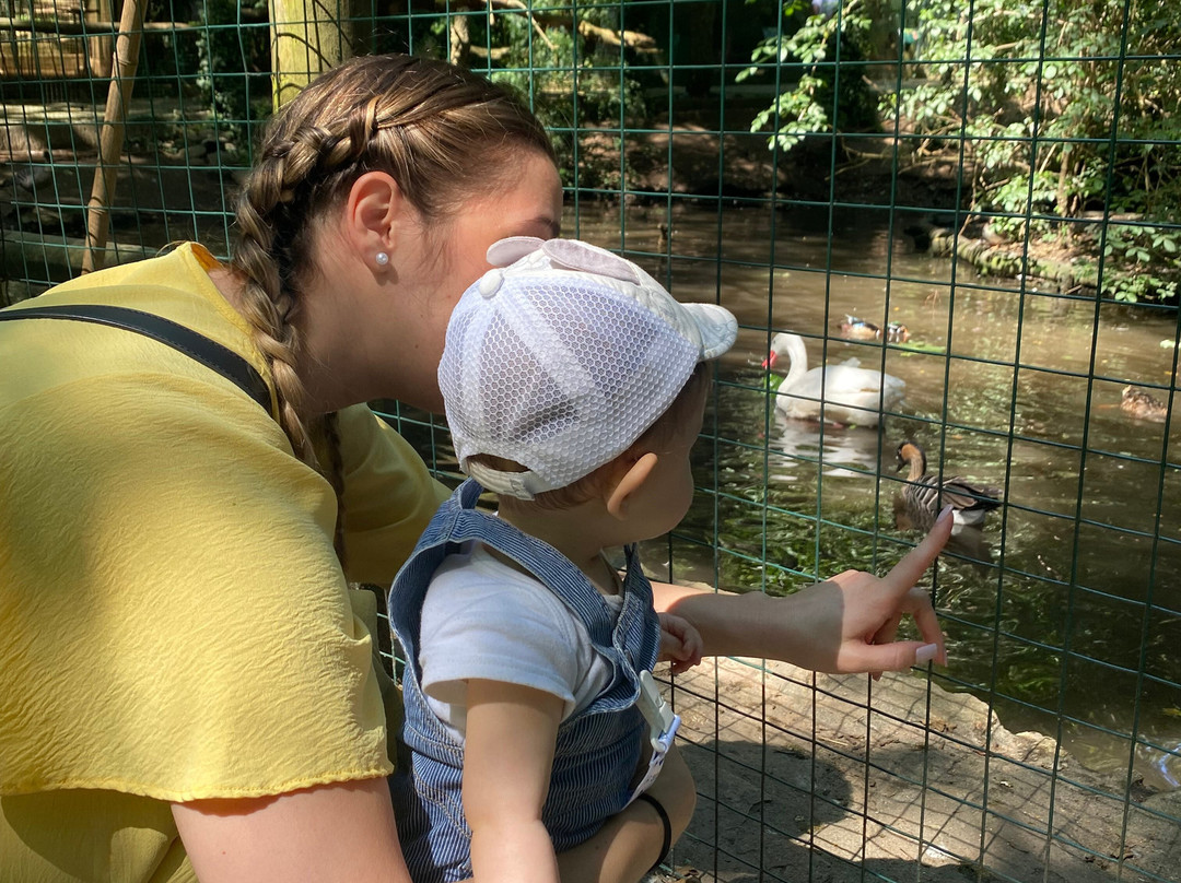 Zoo Lourosa景点图片