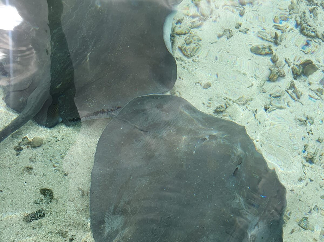 Gislaine MANUEL-莫雷阿岛必去景点