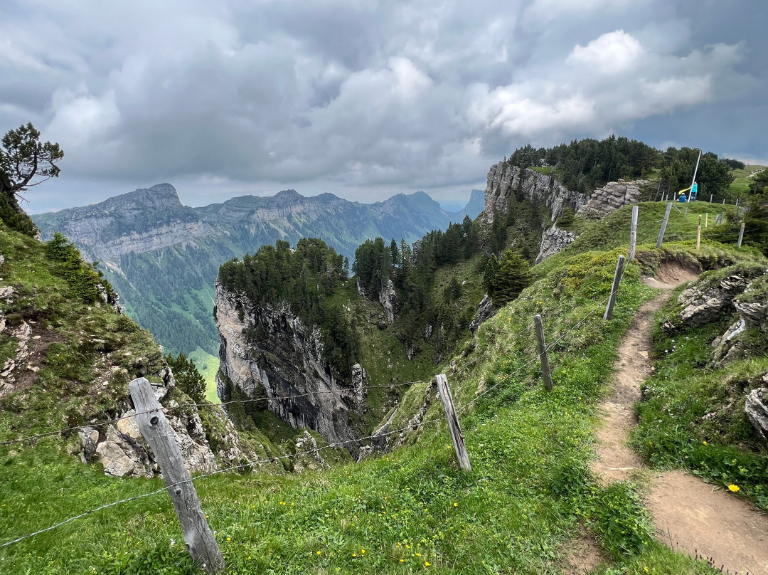 Niederhorn Berg-贝阿滕贝格必去景点