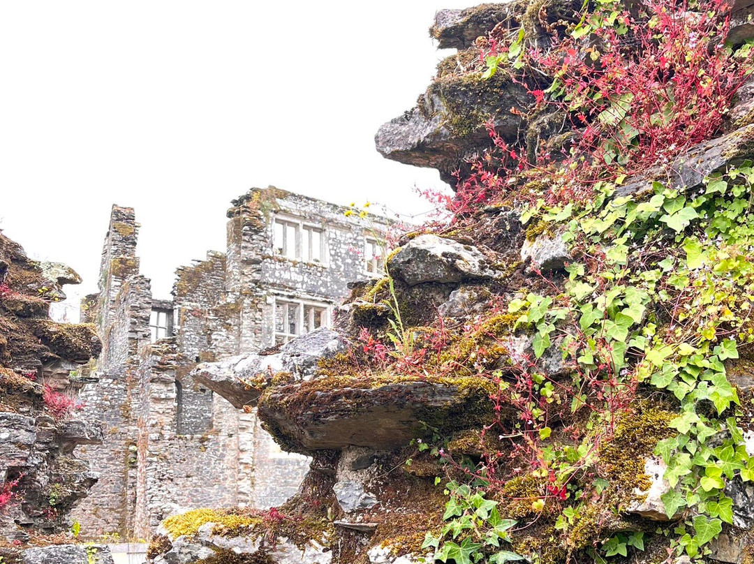 Berry Pomeroy Castle-托特尼斯必去景点