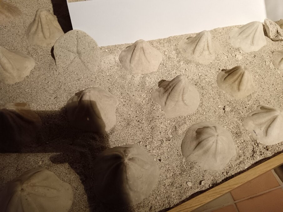 Museo del Mare di Tropea景点图片