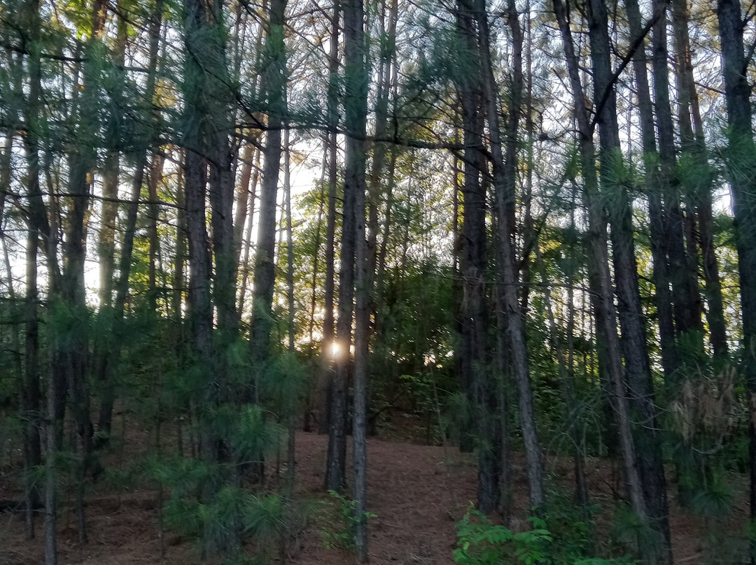 WoodSpring Suites Spartanburg Duncan主图